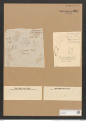 Schizonema mesogloeoides Kuetz. (de-Toni-Nr.: Genus 20, Species 1186) Zeichnungen Sammlung Grunow Nr. 2285 (NHMW-BOT-W0369405)
